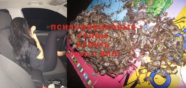 винт Белоозёрский