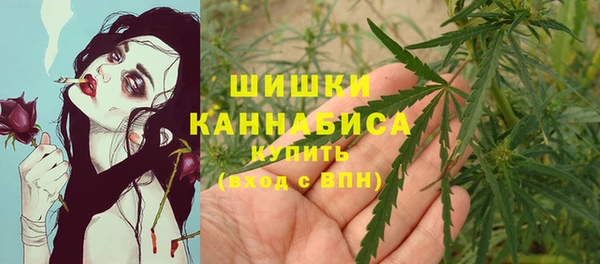 эйфоретик Белокуриха