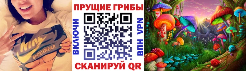 Галлюциногенные грибы MAGIC MUSHROOMS Купить Городец